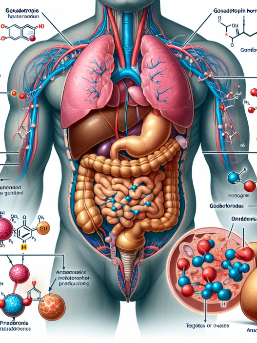 Gonadotrophine et cures combinées avec des stéroïdes anabolisants