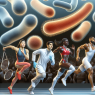 Les SARM et leur rôle dans l'amélioration des performances sportives